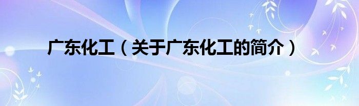 广东化工（关于广东化工的简介）