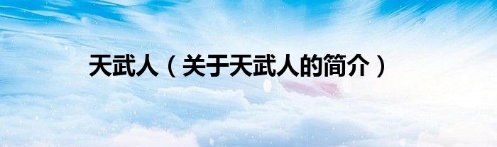 天武人（关于天武人的简介）