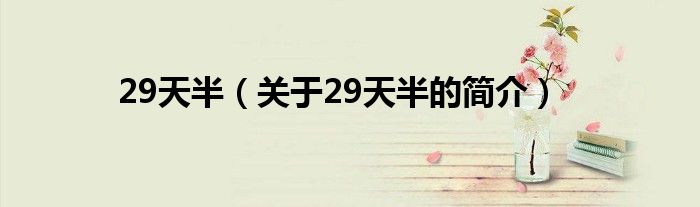 29天半（关于29天半的简介）