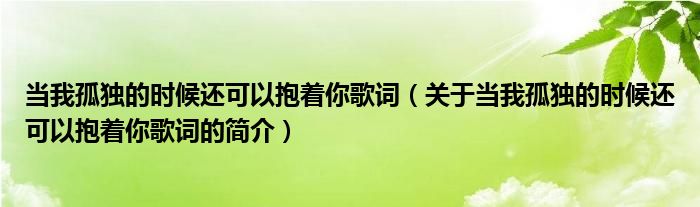 当我孤独的时候还可以抱着你歌词（关于当我孤独的时候还可以抱着你歌词的简介）