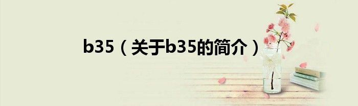 b35（关于b35的简介）