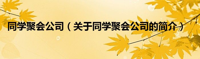 同学聚会公司（关于同学聚会公司的简介）