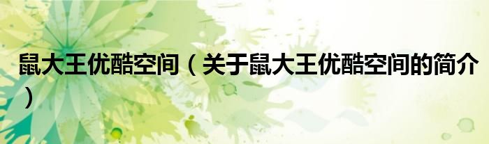 鼠大王优酷空间（关于鼠大王优酷空间的简介）