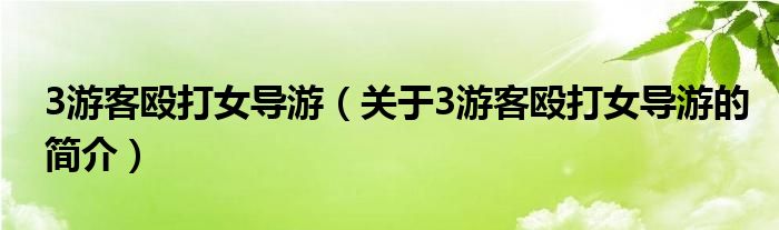 3游客殴打女导游（关于3游客殴打女导游的简介）