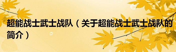 超能战士武士战队（关于超能战士武士战队的简介）