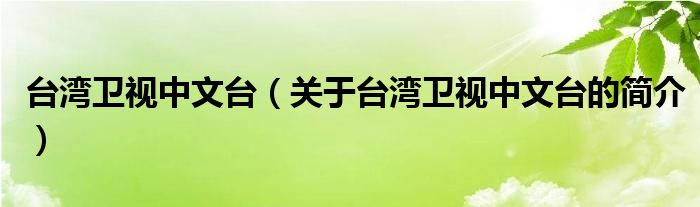 台湾卫视中文台（关于台湾卫视中文台的简介）