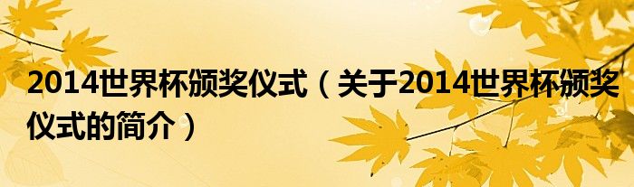 2014世界杯颁奖仪式（关于2014世界杯颁奖仪式的简介）