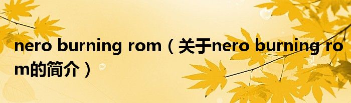 nero burning rom（关于nero burning rom的简介）