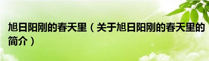 旭日阳刚的春天里（关于旭日阳刚的春天里的简介）