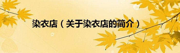 染衣店（关于染衣店的简介）