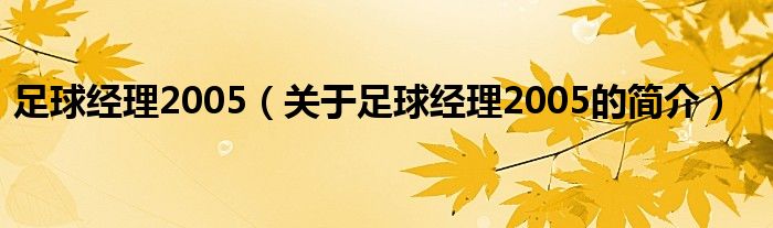 足球经理2005（关于足球经理2005的简介）