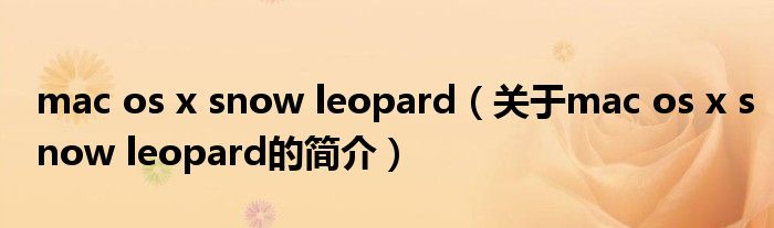 mac os x snow leopard（关于mac os x snow leopard的简介）