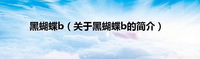 黑蝴蝶b（关于黑蝴蝶b的简介）