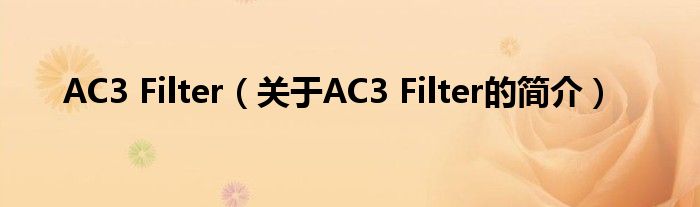 AC3 Filter（关于AC3 Filter的简介）