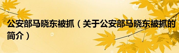 公安部马晓东被抓（关于公安部马晓东被抓的简介）