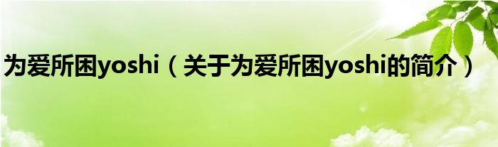 为爱所困yoshi（关于为爱所困yoshi的简介）