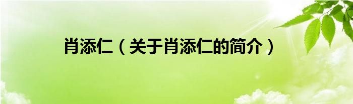 肖添仁（关于肖添仁的简介）