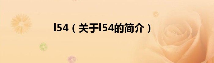 l54（关于l54的简介）