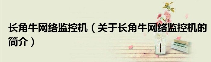 长角牛网络监控机（关于长角牛网络监控机的简介）
