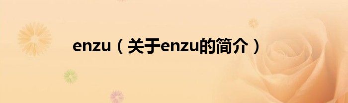 enzu（关于enzu的简介）