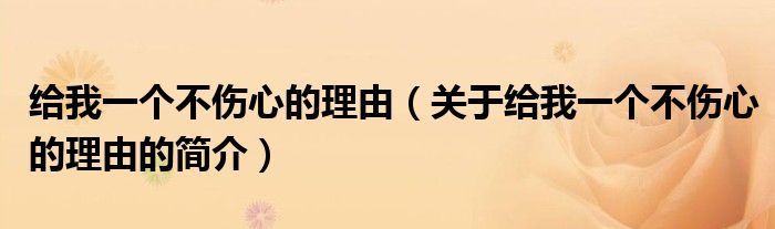 给我一个不伤心的理由（关于给我一个不伤心的理由的简介）