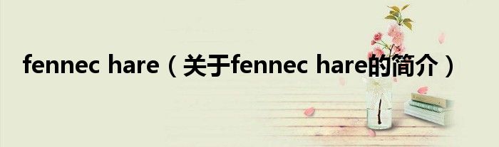 fennec hare（关于fennec hare的简介）