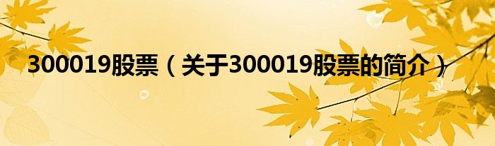 300019股票（关于300019股票的简介）