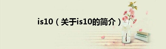 is10（关于is10的简介）