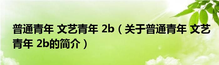 普通青年 文艺青年 2b（关于普通青年 文艺青年 2b的简介）