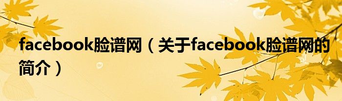 facebook脸谱网（关于facebook脸谱网的简介）