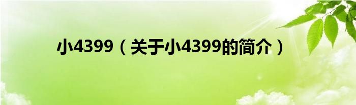 小4399（关于小4399的简介）