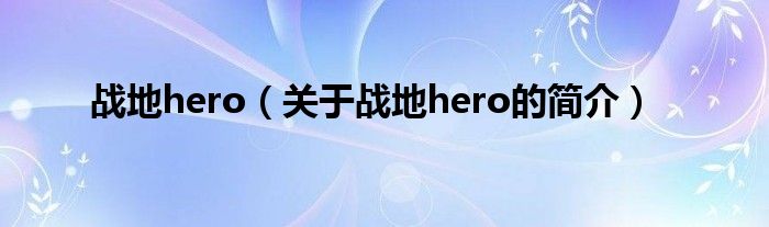 战地hero（关于战地hero的简介）