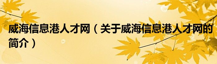 威海信息港人才网（关于威海信息港人才网的简介）