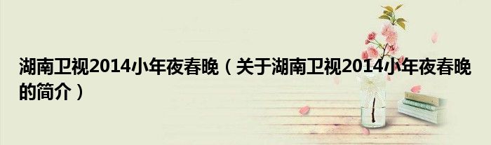 湖南卫视2014小年夜春晚（关于湖南卫视2014小年夜春晚的简介）
