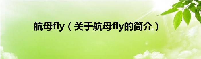 航母fly（关于航母fly的简介）