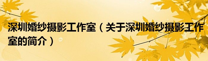 深圳婚纱摄影工作室（关于深圳婚纱摄影工作室的简介）