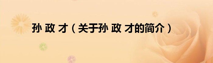 孙 政 才（关于孙 政 才的简介）