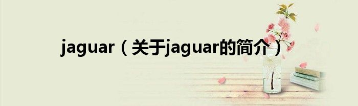 jaguar（关于jaguar的简介）