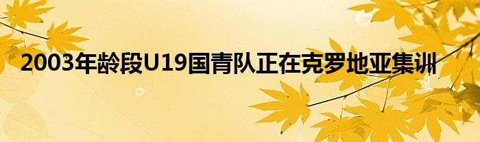 2003年龄段U19国青队正在克罗地亚集训