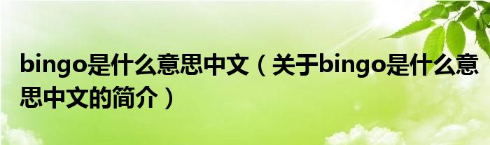 bingo是什么意思中文（关于bingo是什么意思中文的简介）
