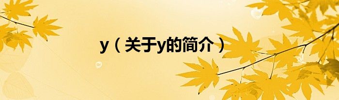 y（关于y的简介）
