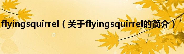 flyingsquirrel（关于flyingsquirrel的简介）