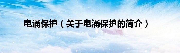 电涌保护（关于电涌保护的简介）