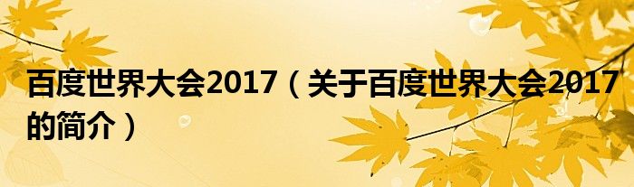 百度世界大会2017（关于百度世界大会2017的简介）