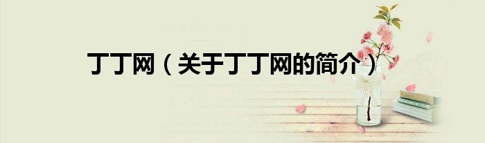 丁丁网（关于丁丁网的简介）