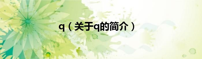 q（关于q的简介）