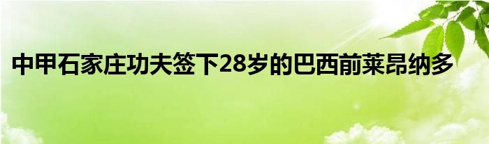 中甲石家庄功夫签下28岁的巴西前莱昂纳多