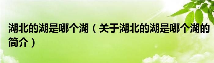 湖北的湖是哪个湖（关于湖北的湖是哪个湖的简介）