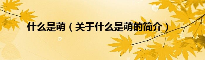 什么是萌（关于什么是萌的简介）