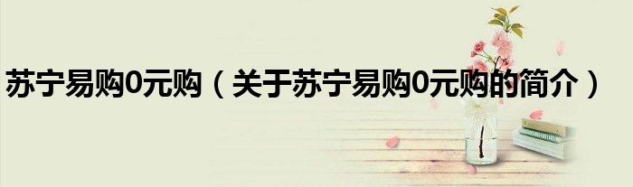 苏宁易购0元购（关于苏宁易购0元购的简介）